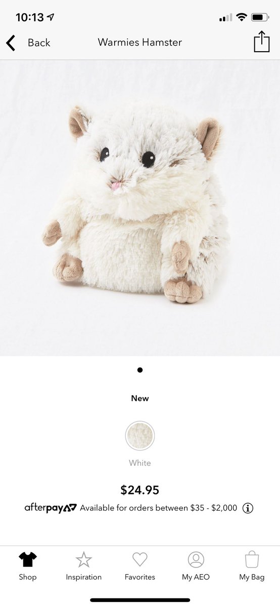 tehgreyshoe's tweet image. @Aerie I know it’s a plush but I still have some serious misgivings about putting a hamster in the microwave. #aeriesleepaccessories #hamsterplush