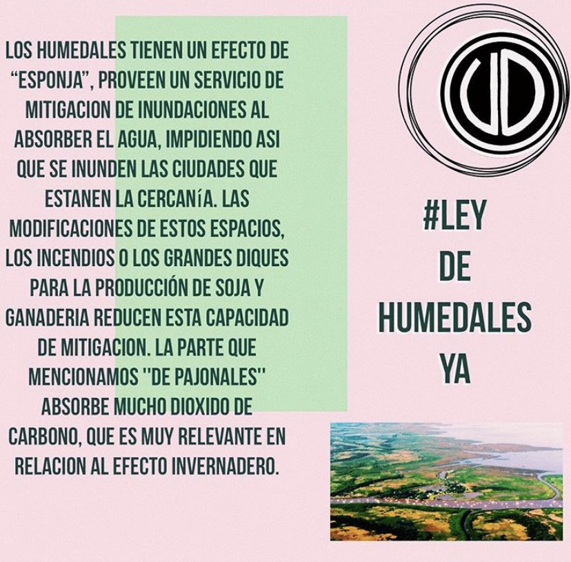 udesobediente's tweet photo. Cuales son las caracteristicas que tienen y cuales son las problematicas que genera dañarlos? Vamos por una #LeyDeHumedalesYa https://t.co/f7PH1LQRyF