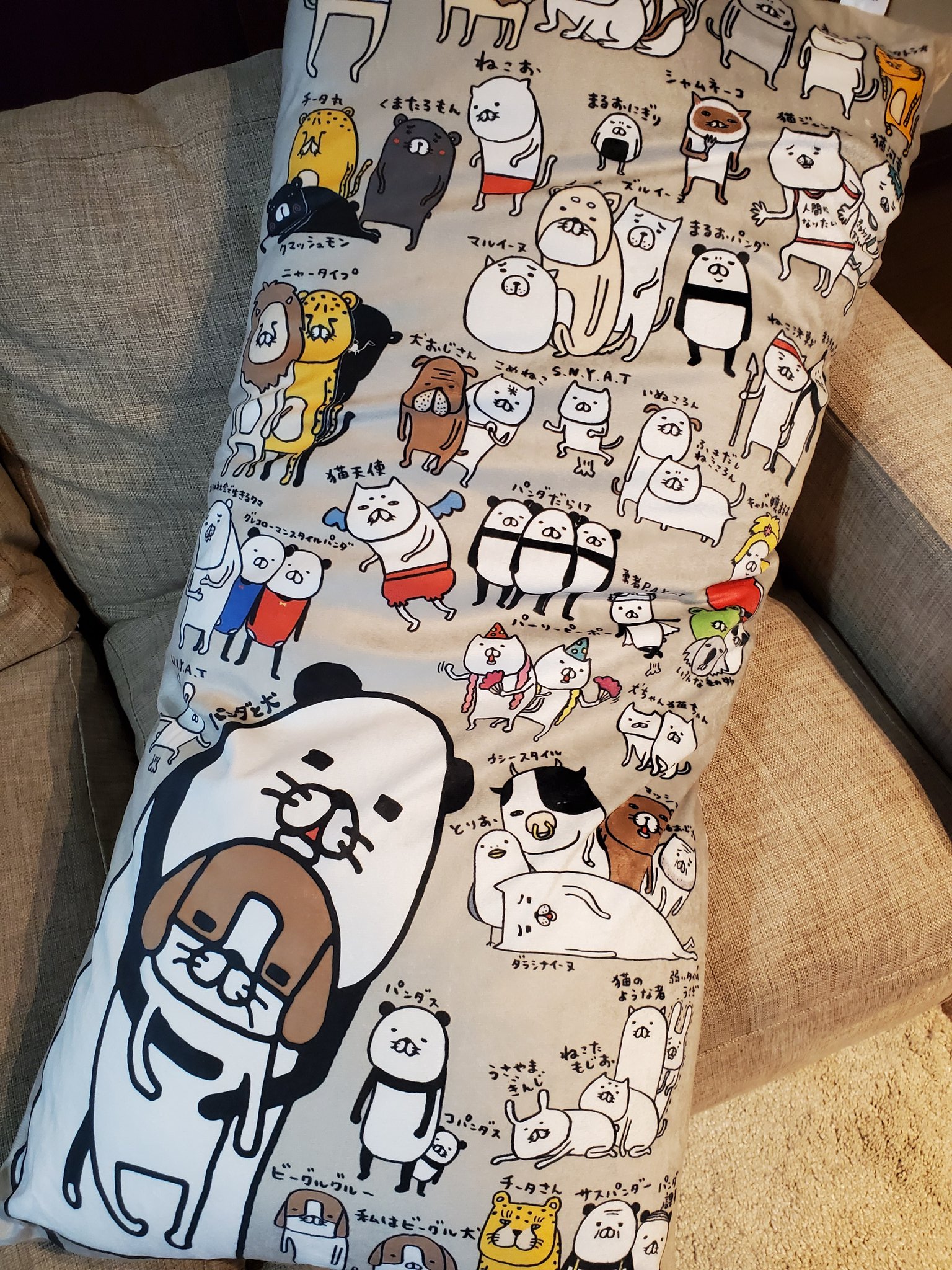 Masumika しまむら行ったらパンダと犬の抱き枕見つけて買ってきたよ 3種類あったけど情報量多いコレに即決 パンダと犬 スティーヴンスピルハンバーグ 犬かわいい しまむら T Co 6hlyalk3h2 Twitter