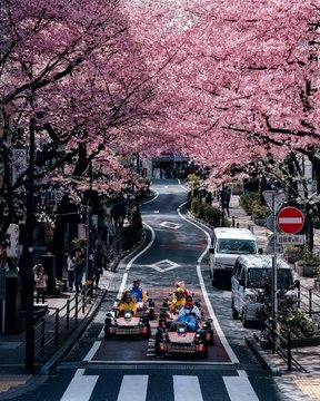 Japan 🇯🇵
cr: kohki