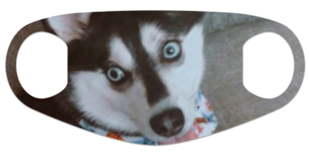 Lindsay Dillon tweet media