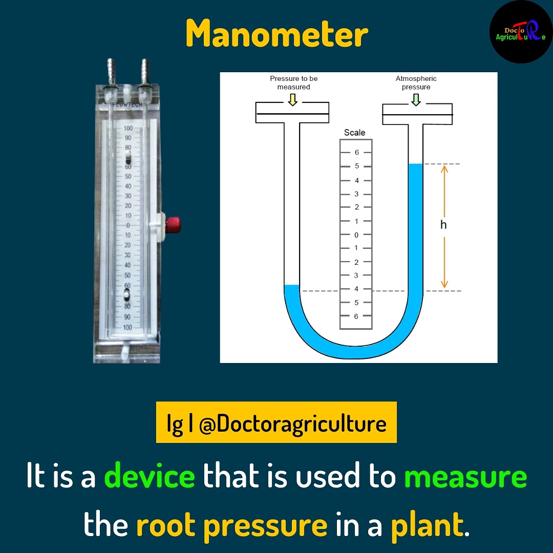 Agriifact's tweet photo. Comment '❤️' If you like this posts
•
Like, comment , share
•
Follow @Doctoragri
Follow @Doctoragri
•
#doctoragriculture #agriculture  #agriculturefact #agriculture_global #device #instrument #measure #scale #rootpressure #plant #plants #manometer https://t.co/TmzdpqvmAk