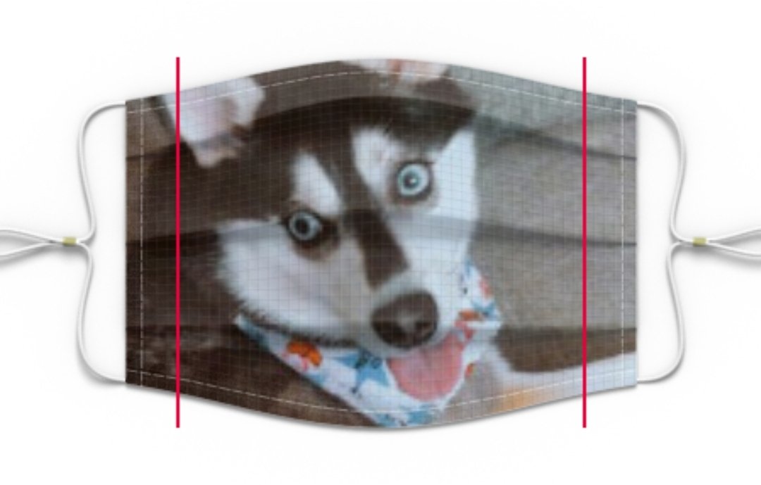 Lindsay Dillon tweet media