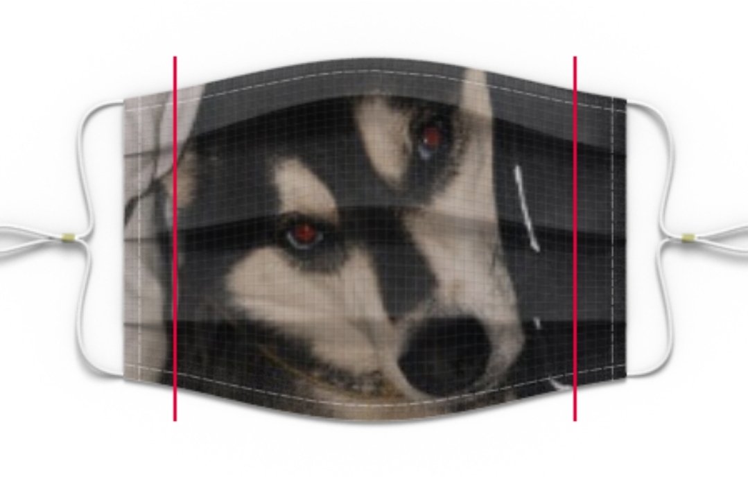 Lindsay Dillon tweet media