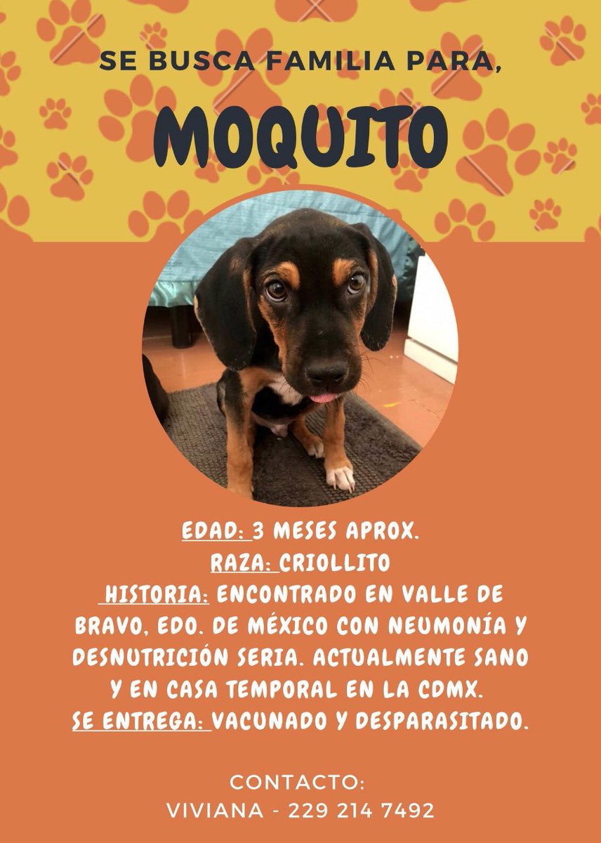 DodgerMontano's tweet photo. Tú le puedes poner otro nombre!!! https://t.co/zzhbIyhuba