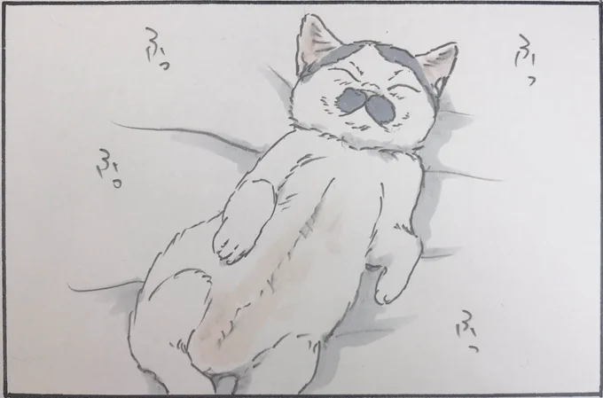 『うぶ毛野原』 