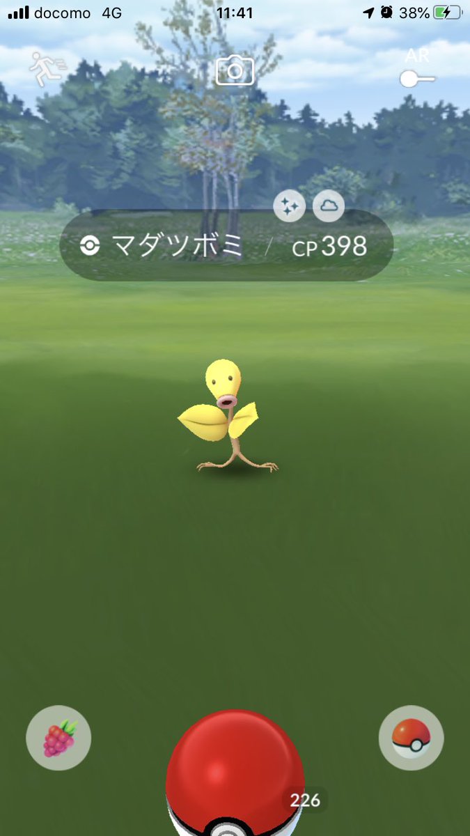 マダツボミ色違い