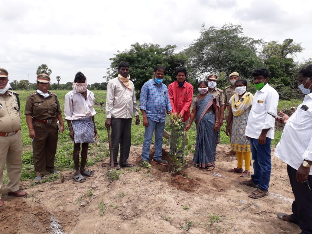 DFO_MBD_Forest's tweet photo. తొర్రూర్ మరియు పెద్దవంగర మండలాలలో పల్లె ప్రకృతి వనలను సందర్శించిన జిల్లా అటవీ శాఖాధికారి గారు, 
పిట్స్ తీసే విధానాన్ని, మొక్కలు నాటడం గురించి పూర్తి సలహాలను ఇవ్వడం జరిగింది. https://t.co/cvd0k1RoZC