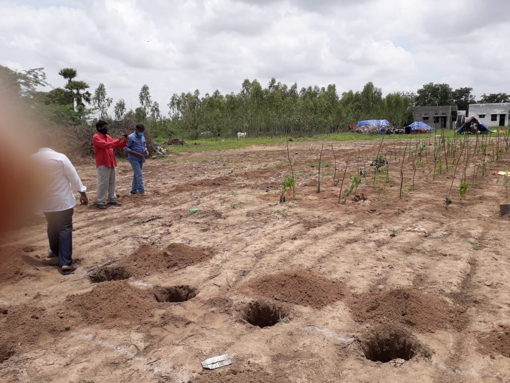 DFO_MBD_Forest's tweet photo. తొర్రూర్ మరియు పెద్దవంగర మండలాలలో పల్లె ప్రకృతి వనలను సందర్శించిన జిల్లా అటవీ శాఖాధికారి గారు, 
పిట్స్ తీసే విధానాన్ని, మొక్కలు నాటడం గురించి పూర్తి సలహాలను ఇవ్వడం జరిగింది. https://t.co/cvd0k1RoZC