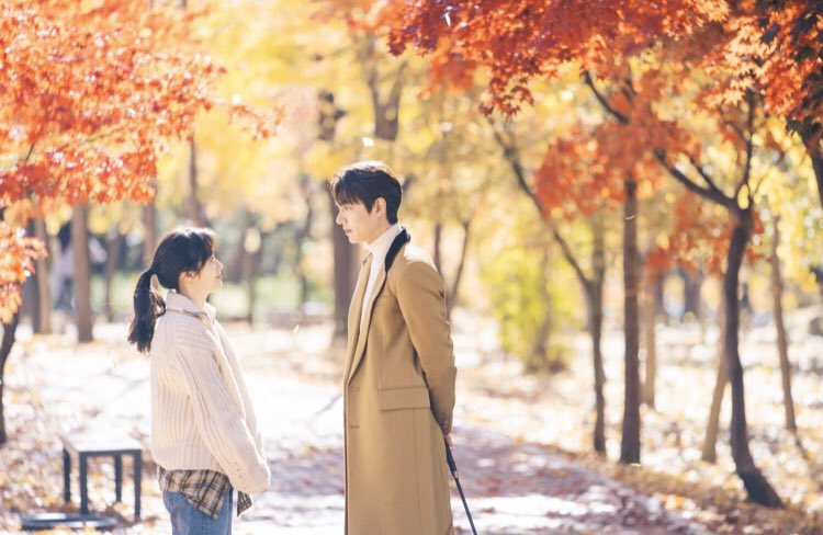 sja_96's tweet photo. 🍁✨🍂 

"Time stopped for a bit just now. Didn't you feel that?

Everything stopped except for me.

But thanks to that... I saw something beautiful."

🍁✨🍂
#TheKingEternalMonarch #MinEun #KimGoEun #LeeMinHo https://t.co/u723hhAO4M