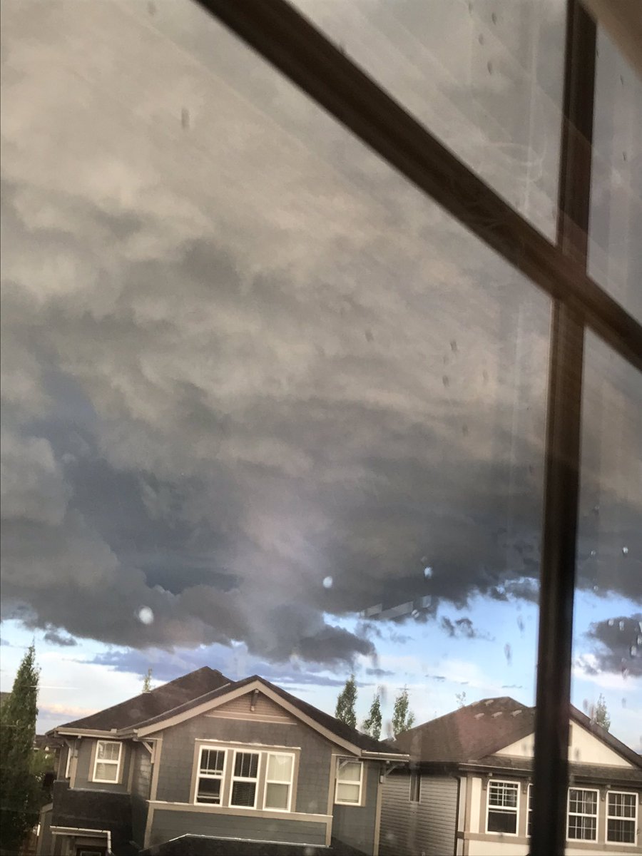 couchcoachc's tweet photo. Bastian better hurry up and give the empress her name! #thenothing #abstorm https://t.co/1SNMBXWzqq