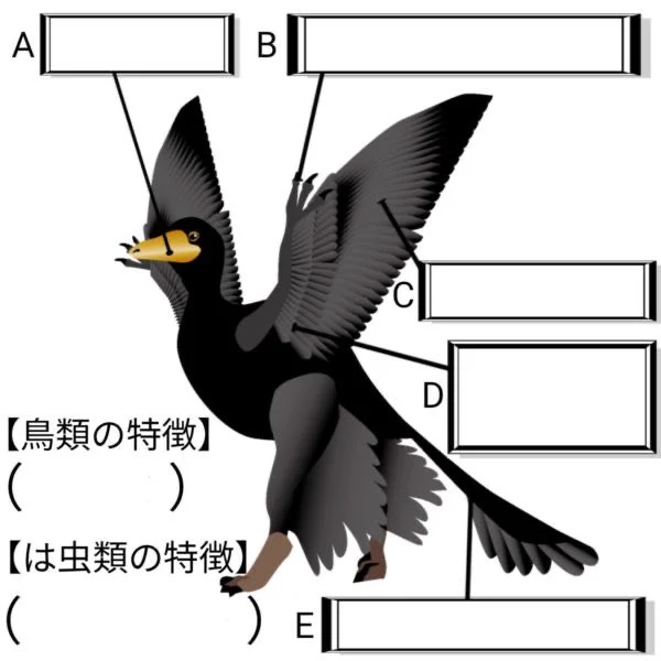 難易度が非常に高いボケて 