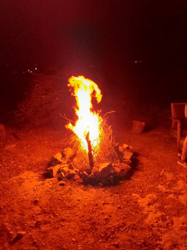HassaniehL's tweet photo. Good morning from Chouf: 
An early morning like no other! https://t.co/GP2uIZPjl9
