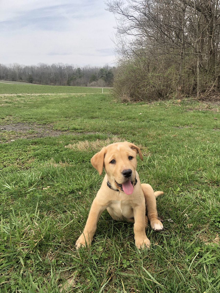 HRAmanda's tweet photo. Your pet and what they’re named after (just pictures) https://t.co/Y5TFcJSwyF