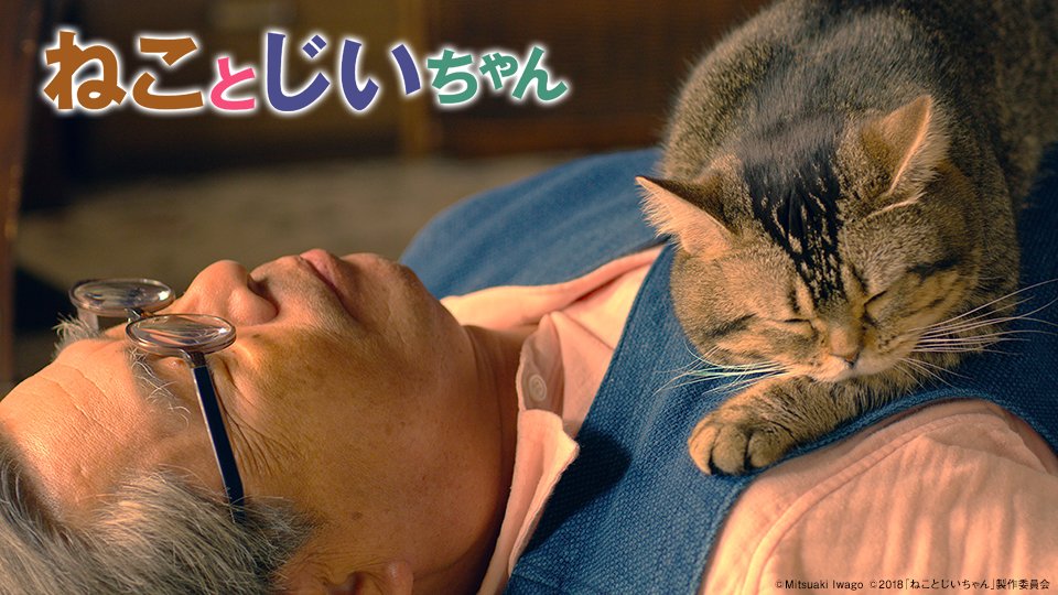 ベーコン君 Twitter Search