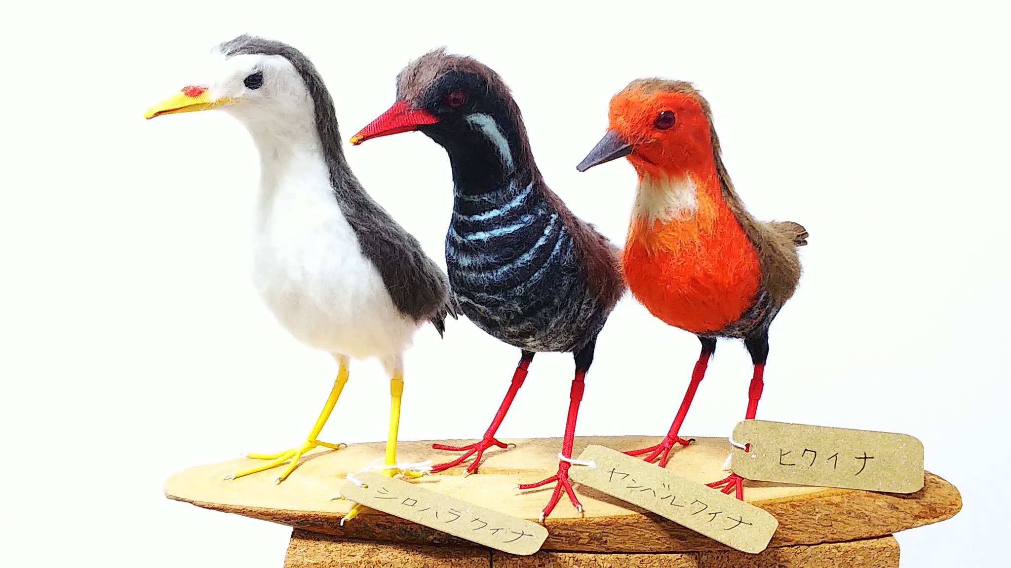 Toritoiro クイナ３種を鳥揃えてみました 鳥 野鳥 シロハラクイナ ヤンバルクイナ ヒクイナ 手作り ハンドメイド クラフト ペーパークラフト 和紙 雑貨 置物 T Co 4g6cssu4k2 Twitter