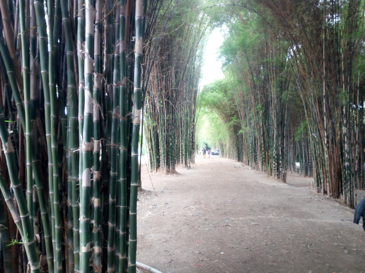 mnluqman4's tweet image. Keegoisan tak akan membuatmu menang. ia akan menghancurkan semua darimu secara perlahan, pertemanan, persahabatan..
orang yang mencintaimu perlahan akan jauh darimu
dan akan semakin menjauh..

#keepfriends
#keepbestfriends😙