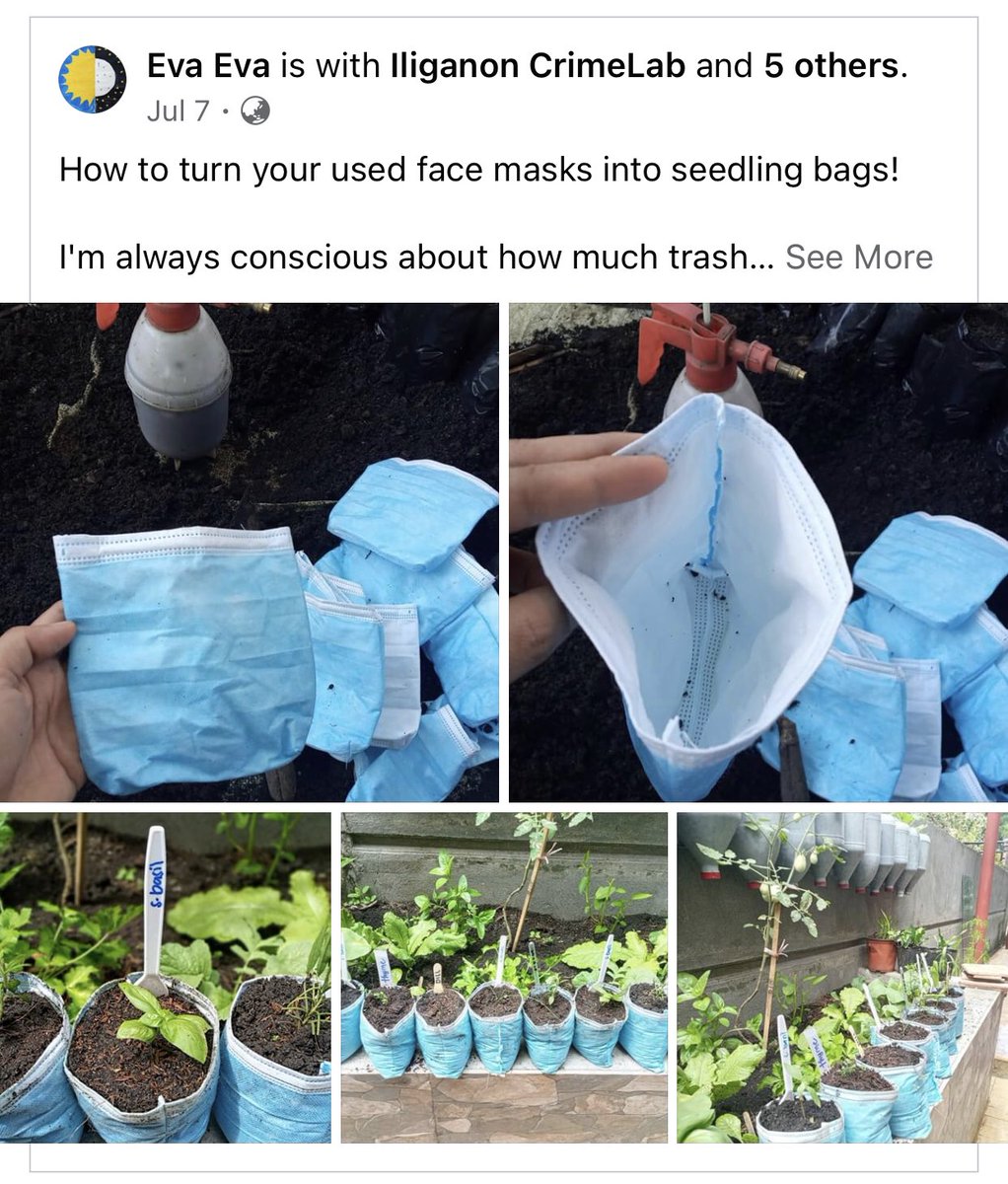 TaganiORG's tweet photo. DO NOT DO THIS. There’s a reason why we sterilize farming tools and materials especially when growing seeds and seedlings. Not because you garden in the soil means it should also be dirty and unsanitized. [A THREAD]

Photos from Eva Eva/PNP Crime Lab in Davao https://t.co/cwfavDn0H2