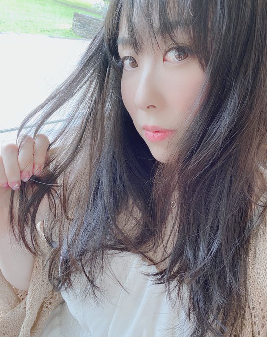 蚊 高画質 のtwitterイラスト検索結果 古い順