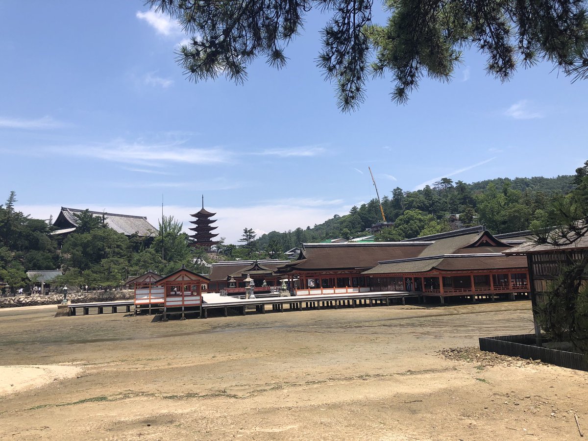 take1030hiroki's tweet photo. 鳥居が工事中… https://t.co/s3NHJYi48d