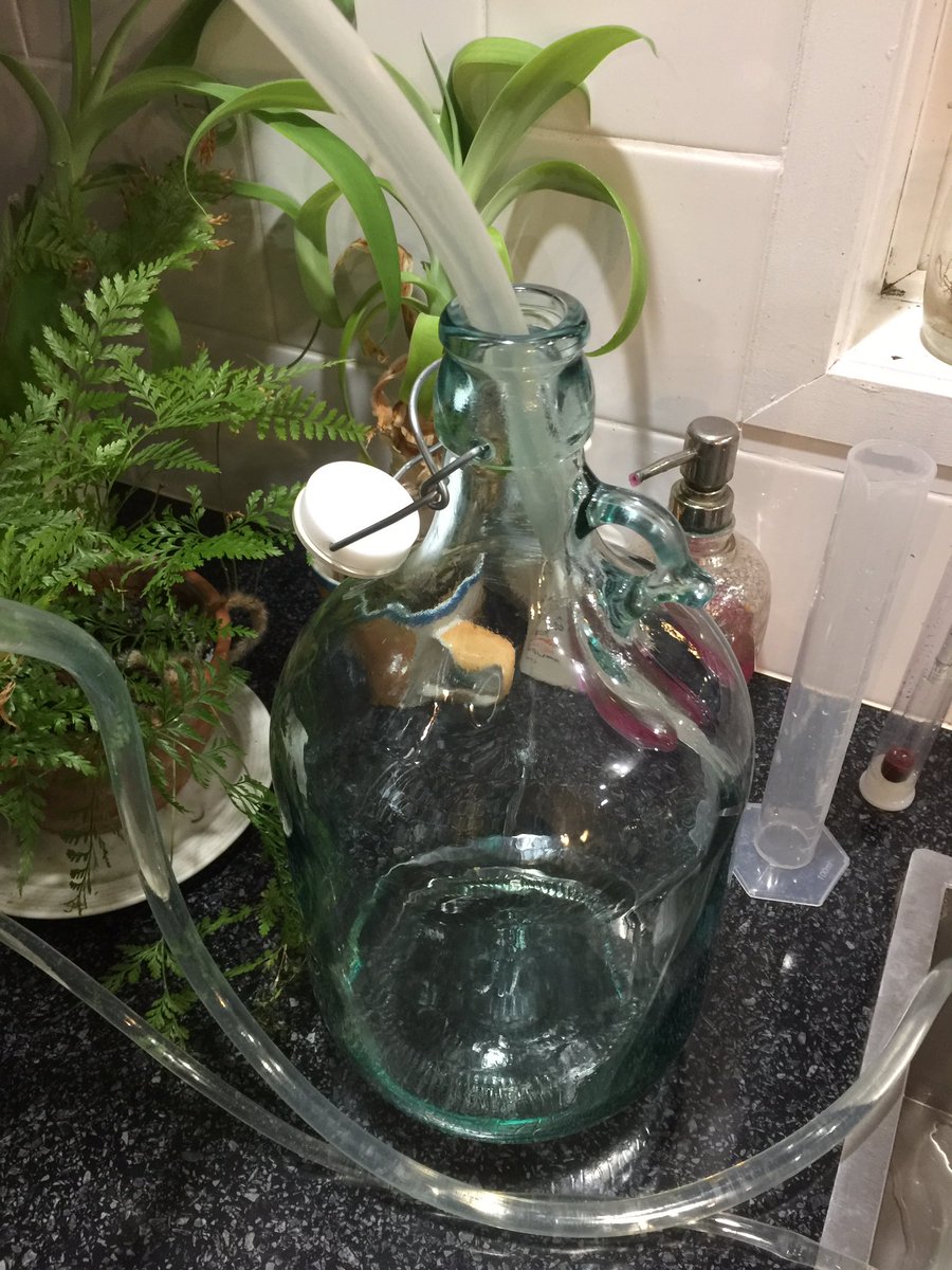 Fist step is to dump the mash into the still, seal it and start boiling it. Once it reaches about 90, the alcohol starts to drip out of the end of the condenser. The condenser is a copper tube that has cold water cycling through it to keep it cold