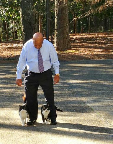 LorenzoTheCat's tweet photo. Along with being a treasured Civil Rights icon, John Lewis loved his cats. Rest in power, sir, rest in power. https://t.co/JntVOU45OH
