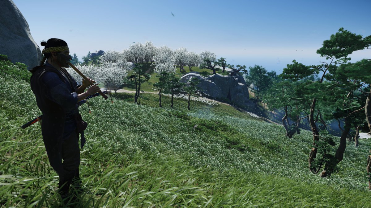 PeePeeVaginae's tweet photo. #GhostOfTsushima #PS4share https://t.co/yEWK49AlLg