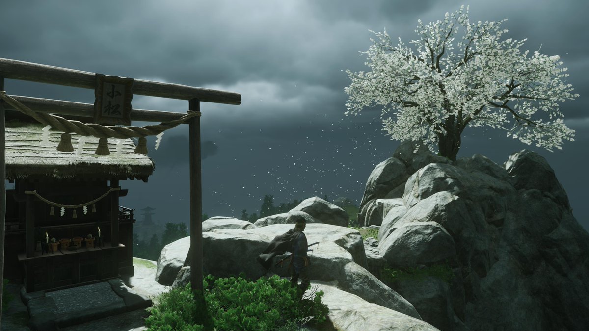 PeePeeVaginae's tweet photo. #GhostOfTsushima #PS4share https://t.co/yEWK49AlLg