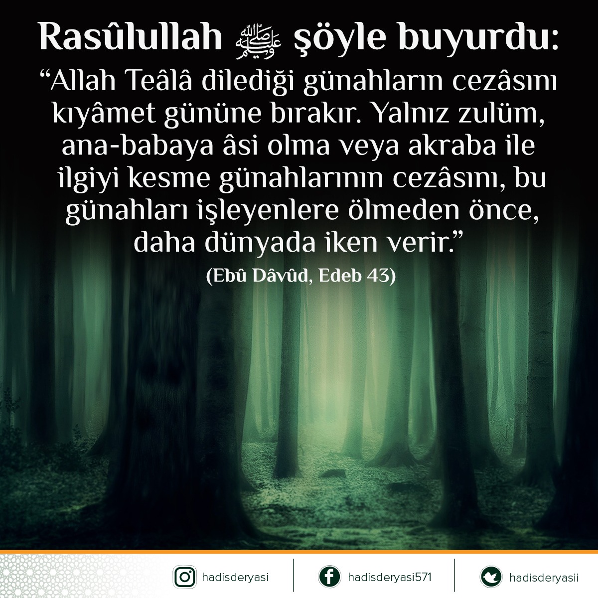 Seksual bekasi video onlayn