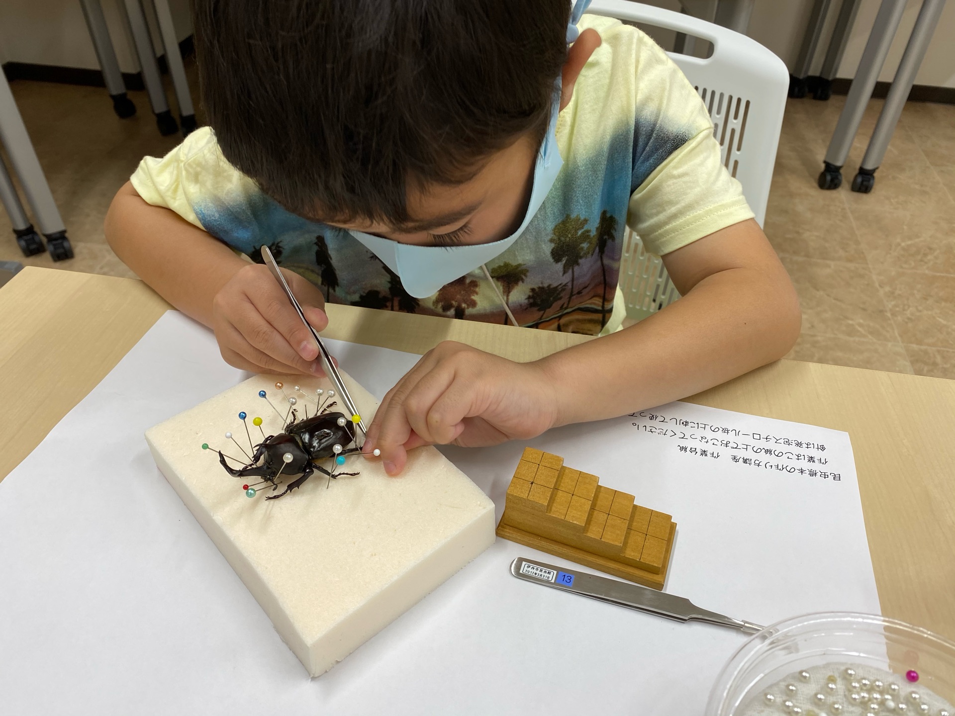 ピン セイダイ Nagashima Seidai 昆虫標本の作り方講座 今年はコロナの影響で 近所の施設の貸室を借りて開催した 綺麗で静かでめっちゃいいッ 講座室欲しい チビくんも友の会会員として受講した ピン セイダイ Nagashima Seidai 昆虫標本の作り方講座 今年はコロナの影響で 近所の施設の貸室を借りて開催した 綺麗で静かでめっちゃいいッ 講座室欲しい チビくんも友の会会員として受講した