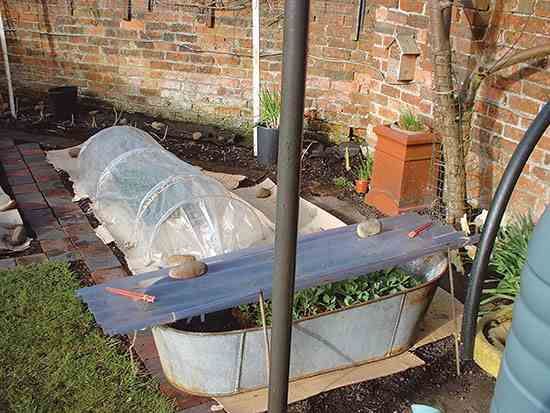 MotherEarthNews's tweet photo. Expand your #growing #season and #upcycle local materials by #building one (or a few!) of these inexpensive #DIY #coldframes. #MotherEarthNews https://t.co/plCVQoopjH https://t.co/zyAE6Nv8cc