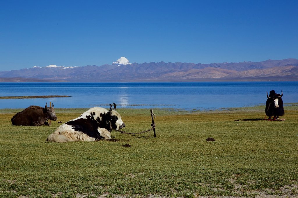 Besides being a popular excursion destination in Jammu, it is also a holy site, sharing the legend and sanctity of Lake Manasarovar. On the Eastern Bank of the Lake there is a shrine to Sheshnag (a snake with six heads).