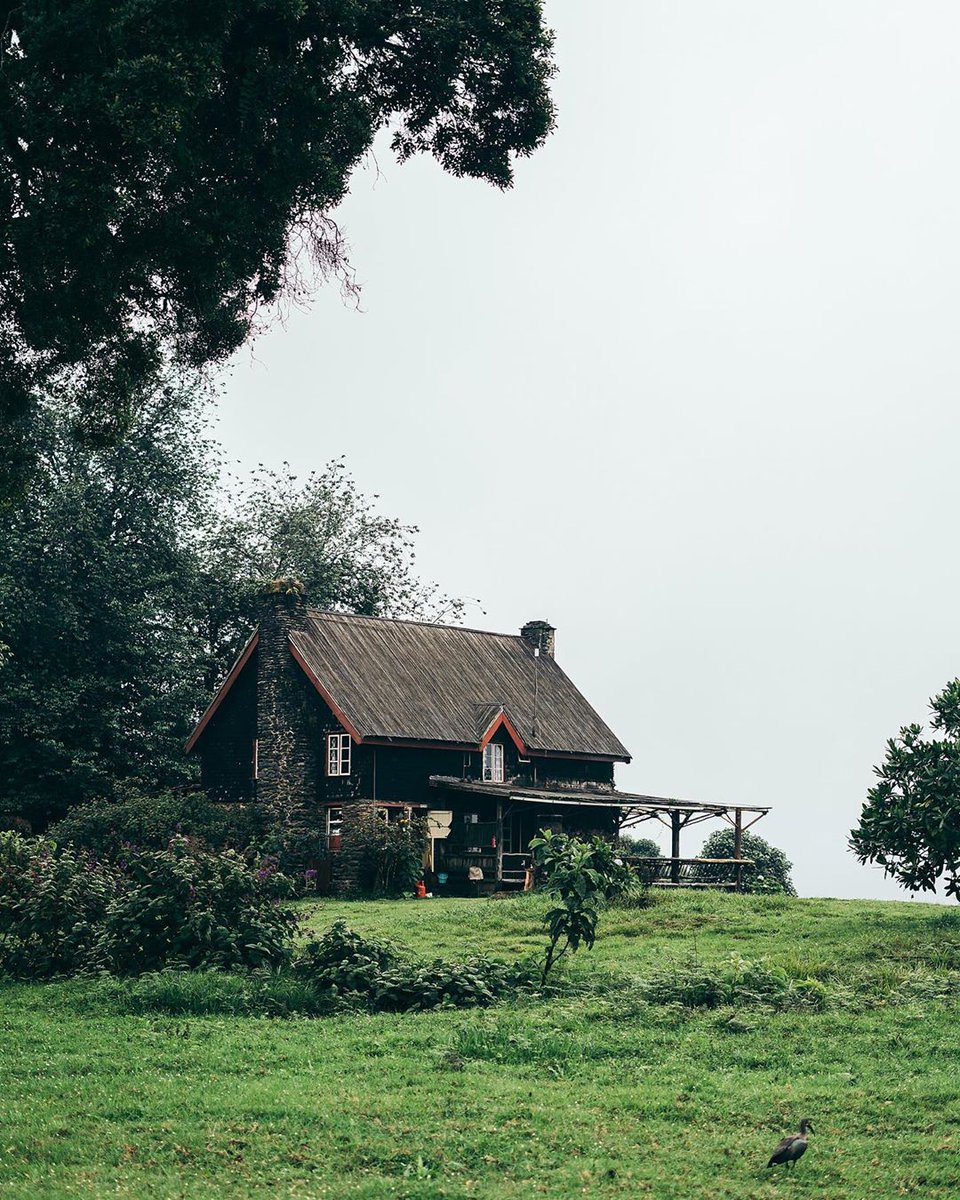 kenyapics's tweet photo. Castle Forest Lodge, Mount Kenya. Photos by @kgbrian_ https://t.co/9rDNram4fe