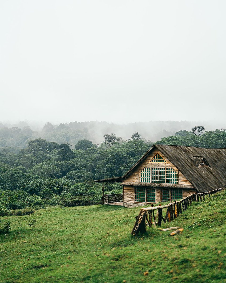 kenyapics's tweet photo. Castle Forest Lodge, Mount Kenya. Photos by @kgbrian_ https://t.co/9rDNram4fe