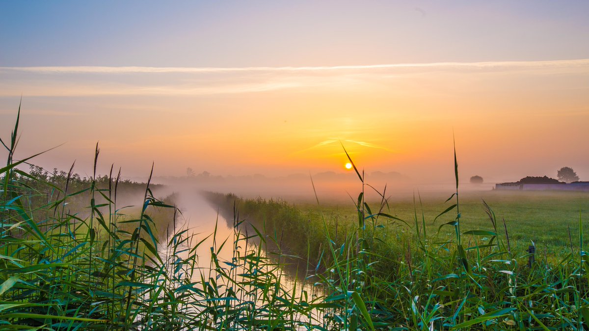 AbDonkerFoto's tweet photo. Licht nevelige zonsopkomst in het Rivierengebied #Buurmalsen #linge #korne @WilliamHuizinga @marjondehond @nicolienkroon @helgavanleur @weermanreinier @mrmiddendorp @StamMaarten @MarcdeJongRTL @NbWestbetuwe @MartijnDorrest1 @WNLOpZaterdag https://t.co/7sfG8EL2Fq
