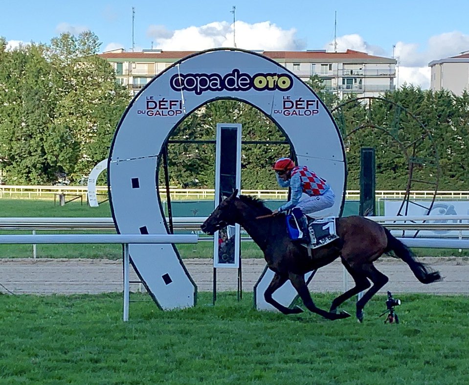 San Sebastian Racing tweet media