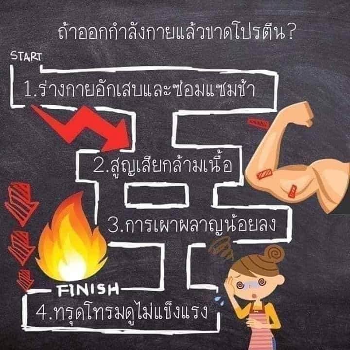 Kajornkiat6's tweet photo. ทำไมการออกกำลังกาย จึงจำเป็นต้องมีโปรตีน
เพราะคนที่ออกกำลังส่วนมาก
หวังผลของการที่มีสุขภาพดีและสร้างกล้ามเนื้อ
ถ้าเราทานโปรตีนขาดร่างกายจะได้ผ���แบบนี้....นะครับ
#สุขภาพดีเริ่มที่ตัวเรา
#OffFatLoss https://t.co/DnPwWmoZZI
