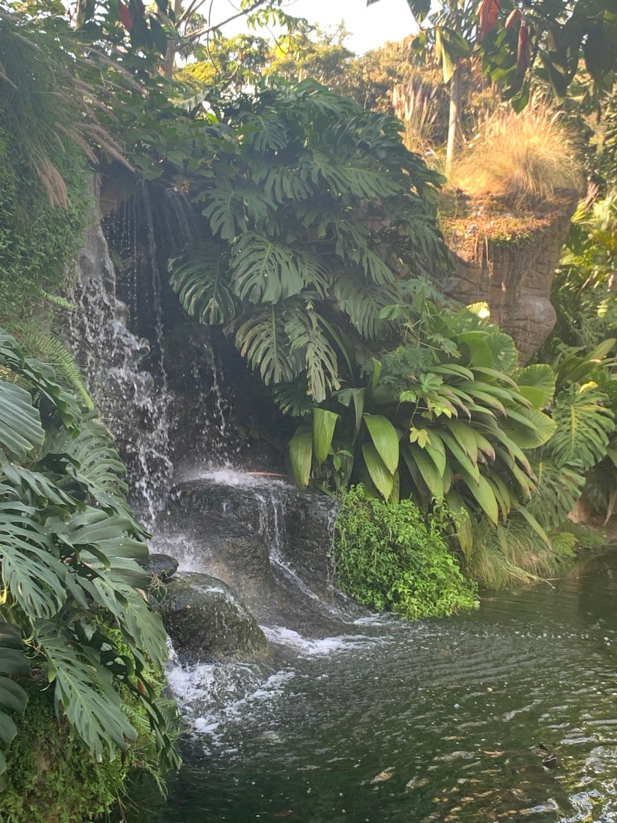 FeliciteAgnes's tweet photo. Felicite Agnes Dembele is a great women. She is a student beside She having a business name https://t.co/5vBuuwN7yv. She sell her new condition cloths on poshmark site. Recently she make a trip for Cali, Colombia. Check out her trip pics. https://t.co/4aMu9KpD3i