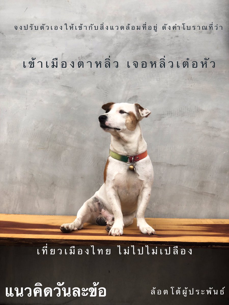 aubkosit's tweet photo. ฝากผลงานลูกรักด้วย ล้อตโต้เป็นหมาไลฟ์โค้ท1 https://t.co/ZAnWBfprZJ