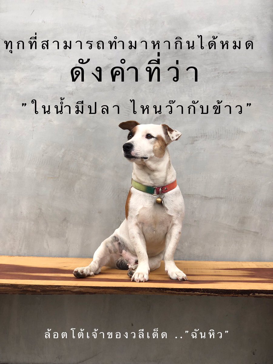aubkosit's tweet photo. ล้อตโต้เป็นหมาไลฟ์โค้ท3 https://t.co/9CeLEIwVU6
