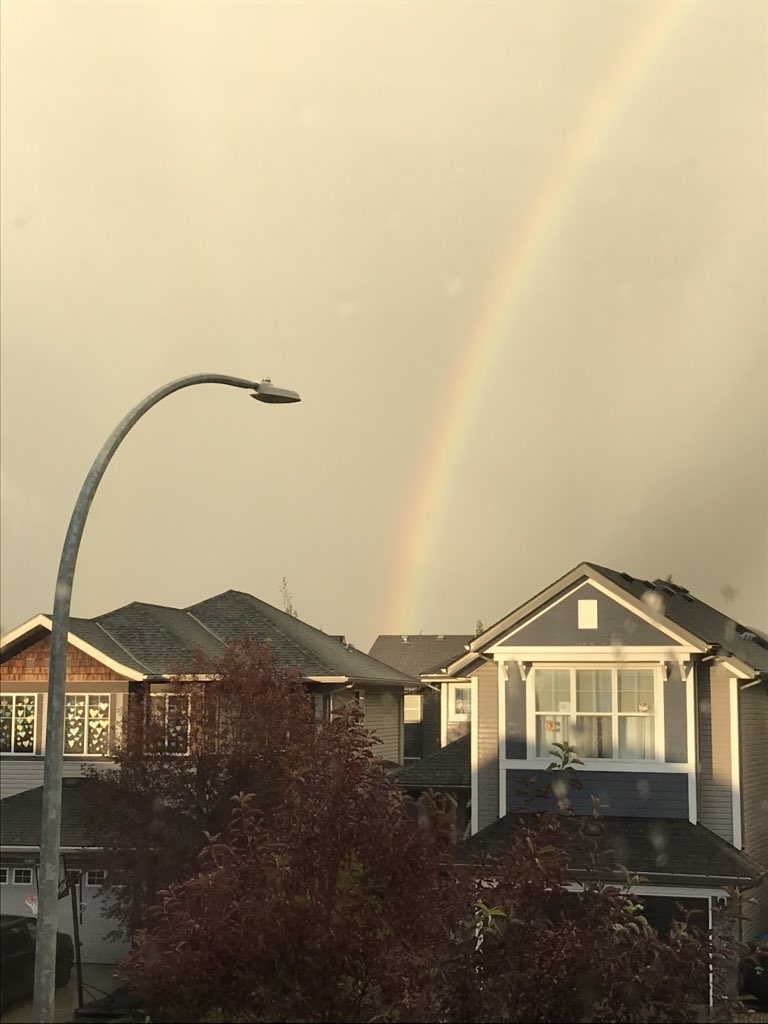 couchcoachc's tweet photo. Update it looks like Bastian did it! #Moonchild #abstorm https://t.co/1oA40odbSD