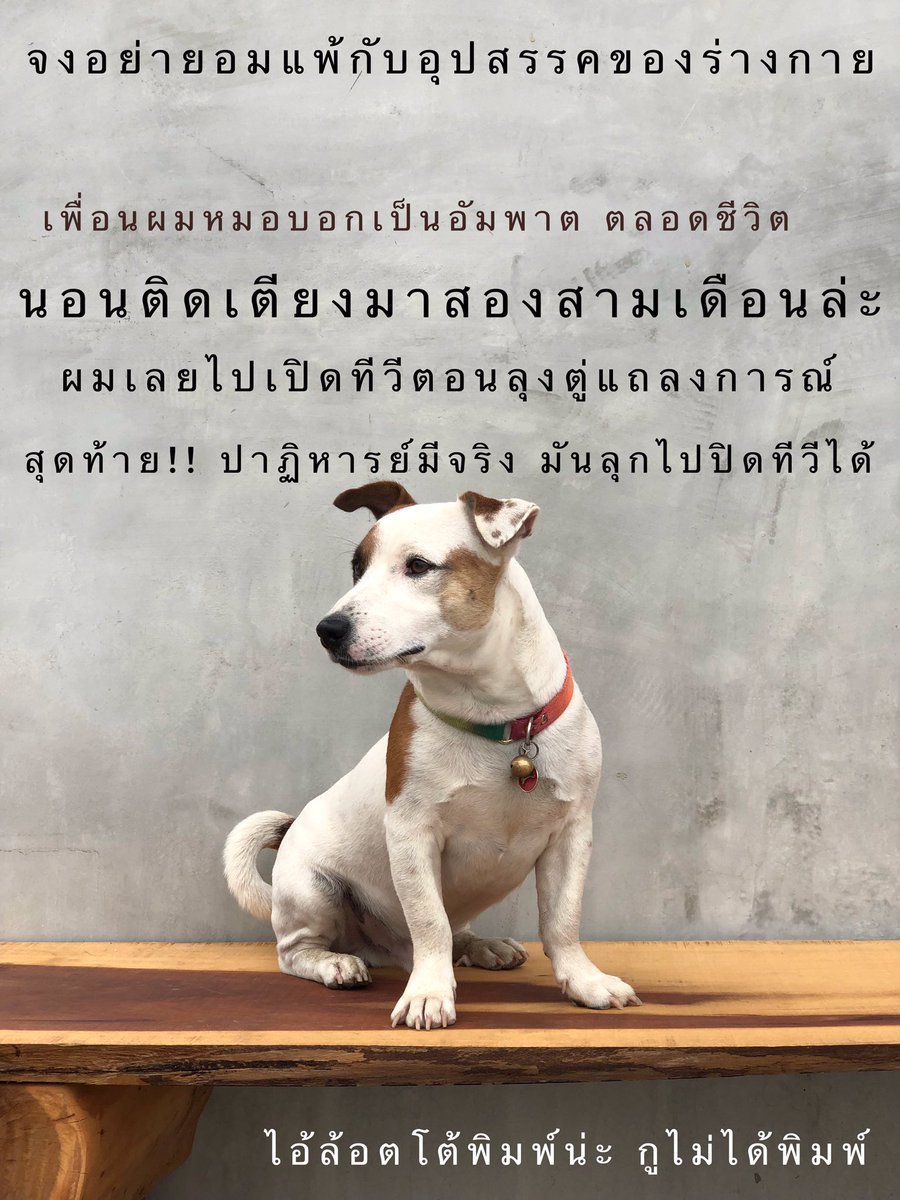 aubkosit's tweet photo. ล้อตโต้เป็นหมาไลฟ์โค้ท5 https://t.co/8ki4uFkHhP