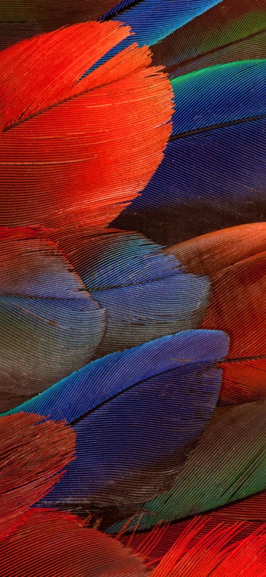 Wallpaper on Twitter: Wallpaper on Twitter: