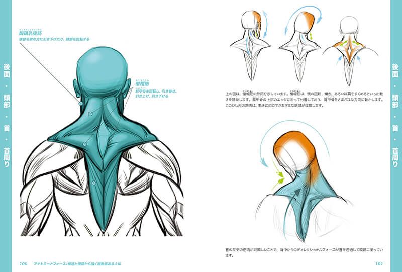 Sully ボーンデジタル アナトミーとフォース 構造と機能から描く躍動感ある人体 T Co H57p4mfiov リズムとフォース の著者 マイケルマテジ に学ぶ人体の仕組みと描き方 目的や経験を問わず 生き生きとした 主張ある 人体ドローイング を