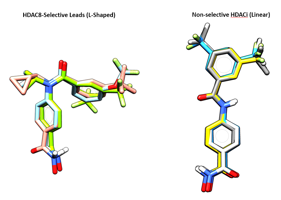 DrYasirRaouf's tweet photo. Our latest work on the selective targeting of HDAC8 using conformationally constrained benzanilides! Congrats to Murtaza and all fellow co-authors. Lovely use of conformational bias to achieve isozyme selectivity. https://t.co/KP16dvA0lo #DrugDiscovery #MedChem @GunningLabUofT https://t.co/ICgTu33L9z