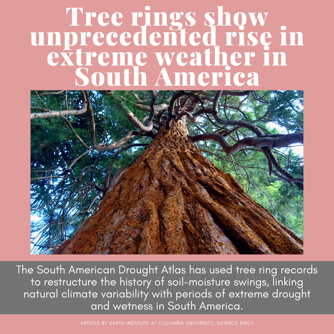 CRCESofficial's tweet photo. #DidYouKnow  Extreme hydroclimate events have occurred in South America since the mid-20th century in part due to natural climate variability, such as the Southern Annual Mode? To read @LamontEarth’s entire article, visit https://t.co/FaQ971V7FR. (1/2) https://t.co/TGmPYrVzrA