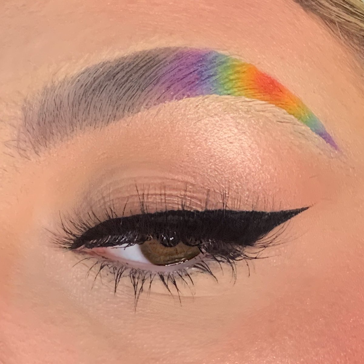 emilyyxmua's tweet photo. rainbow brows 🌈 https://t.co/edebl1wMyX