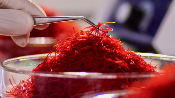 ExportMoon's tweet photo. Kashmir is known for its high-quality saffron, a spice derived from the crocus flower. ... More than 75,000 crocus flowers are needed to produce one pound of saffron. https://t.co/HVEmeW4Pj3
