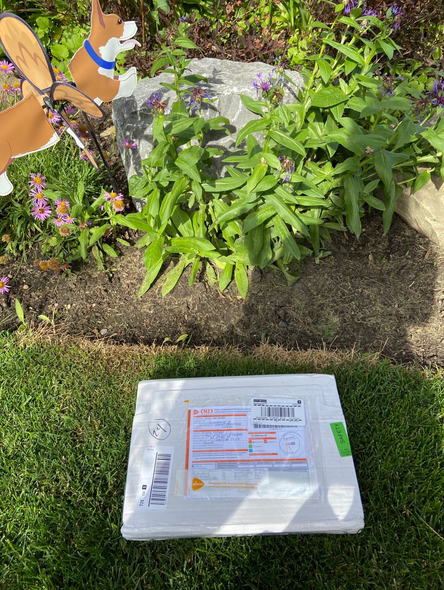 Doorbells don’t ring much anymore, thanks to COVID. So imagine my surprise when the lovely  @vicmo arrived on the stoop with a package and a quizzical look. “This is weird but... do you know an Irma?”