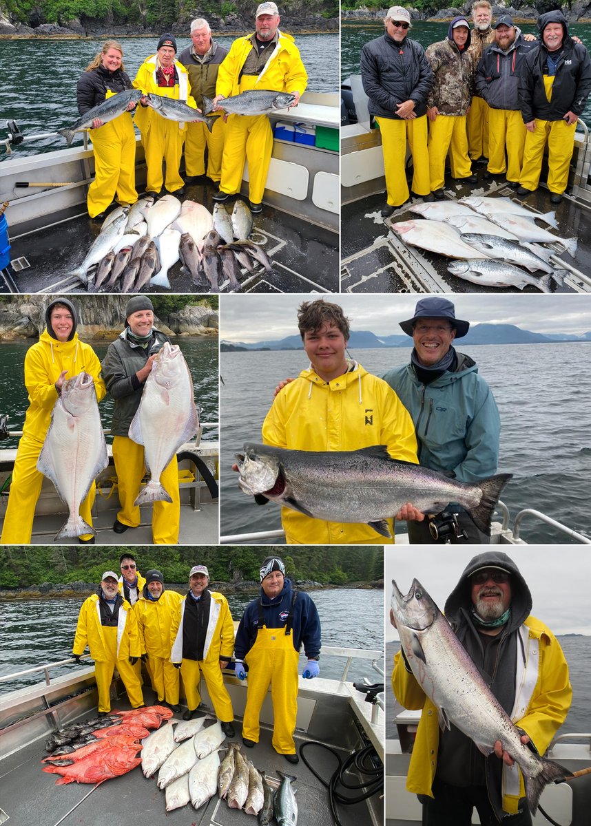WSLSitkaAlaska's tweet photo. 7-17-2020: Good things come to those who bait! #sitka #salmon #fish #fishing #alaska #fishinginsitka #fishinginalaska #wildstrawberrylodge #alaskapremiercharters #sitkafishing #alaskafishing #halibut #lingcod #rockfish #kingsalmon #visitsitka #sportfishing #familyfishing #ak https://t.co/qCcRRCqaht